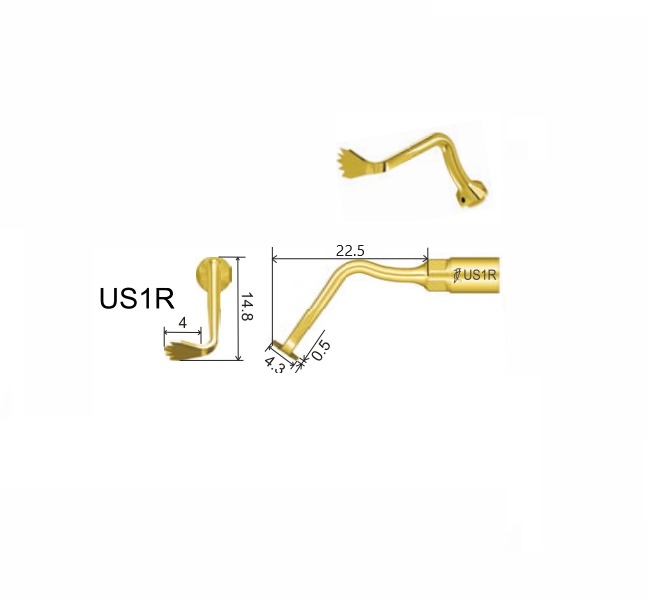 Punta Bone Surgery para Piezo Surgery (US1). WOODPECKER