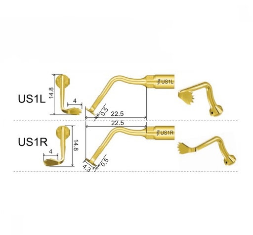 Punta Bone Surgery para Piezo Surgery (US1). WOODPECKER